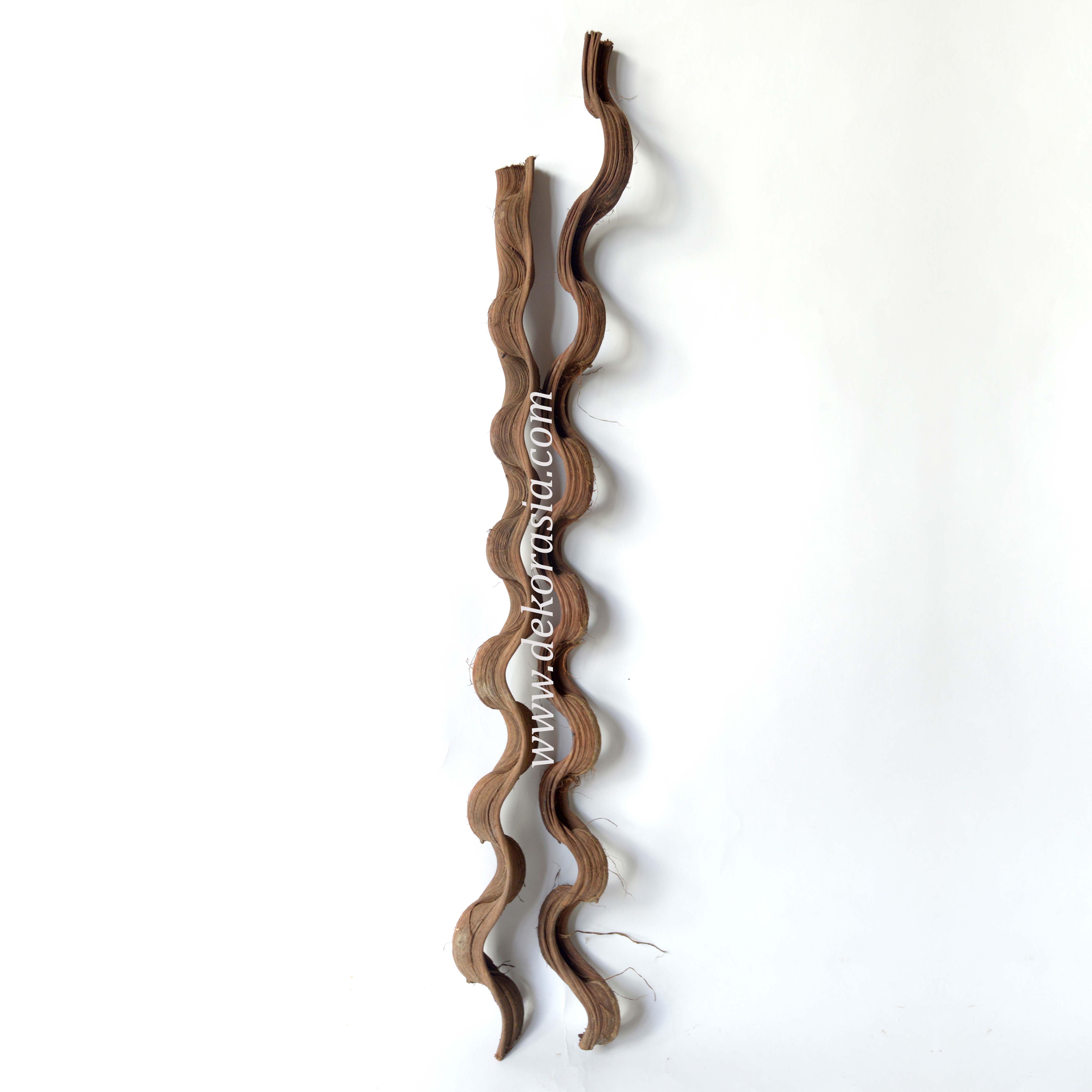 Sabla Vines Wood - Java Wood For Cage